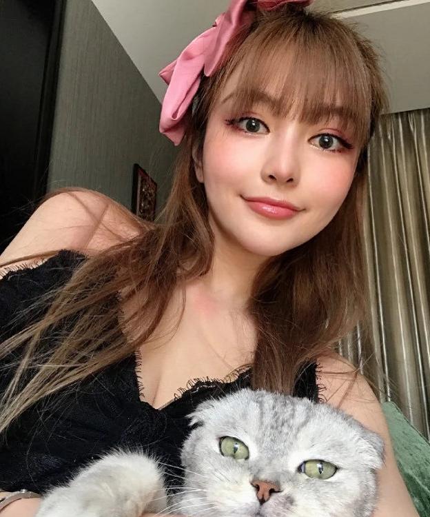 猫上瘾什么原因？揭秘猫咪的神秘行为